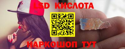 сатива Ставрополь