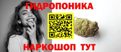 сатива Ставрополь