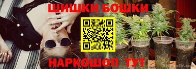 сатива Ставрополь