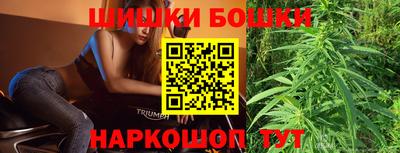 сатива Ставрополь