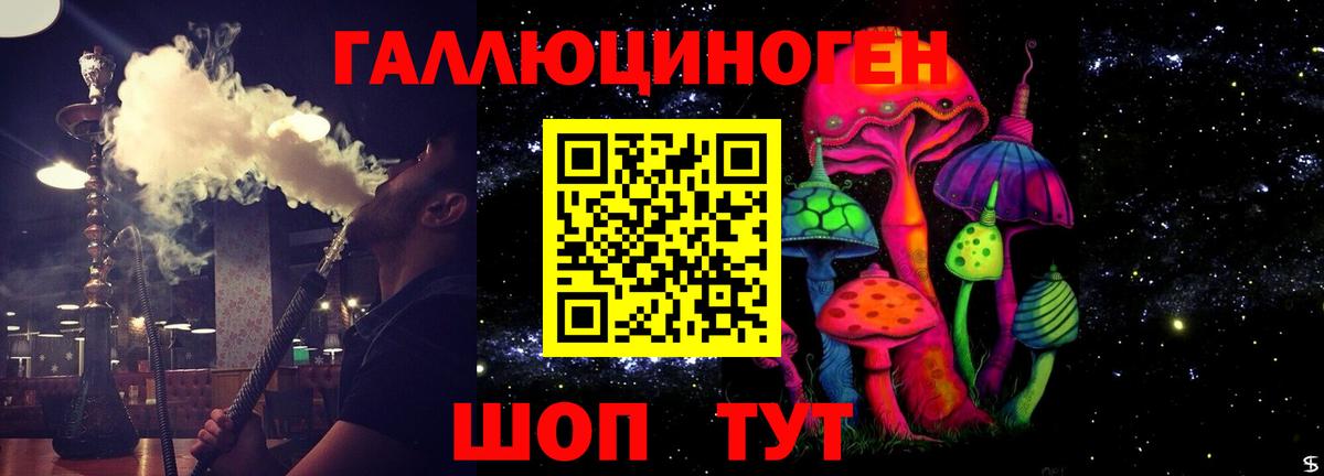 Псилоцибиновые грибы Cubensis Пугачёв
